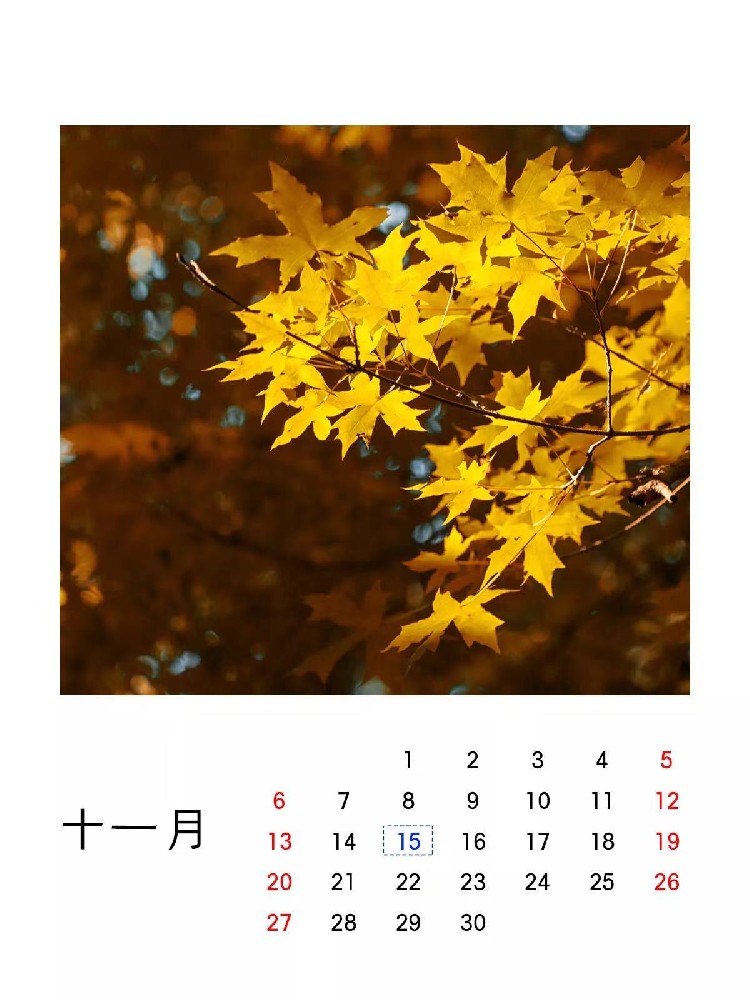 1668416080192061.jpg 微信圖片_20221114150520.jpg